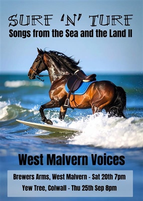 WMV Surf 'nTurf!